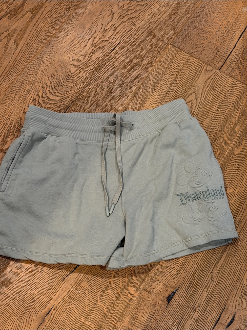 Disney Sage Green Athletic Lounge Shorts with Drawstring medium